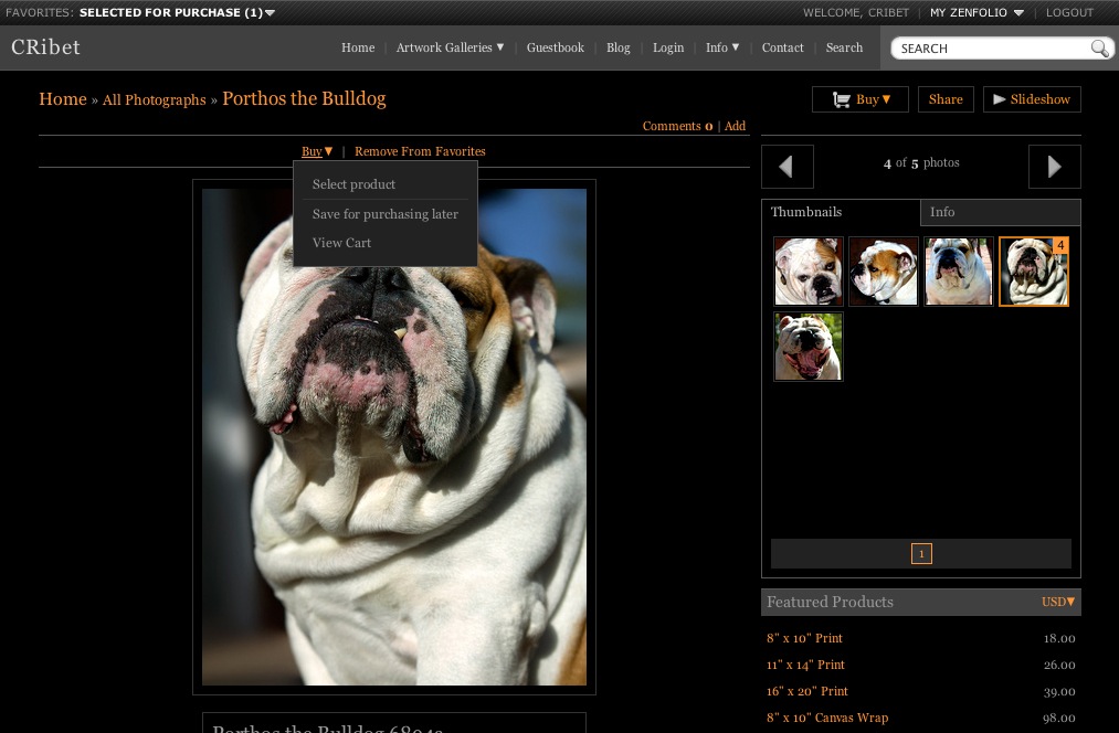 Porthos the Bulldog Buy A