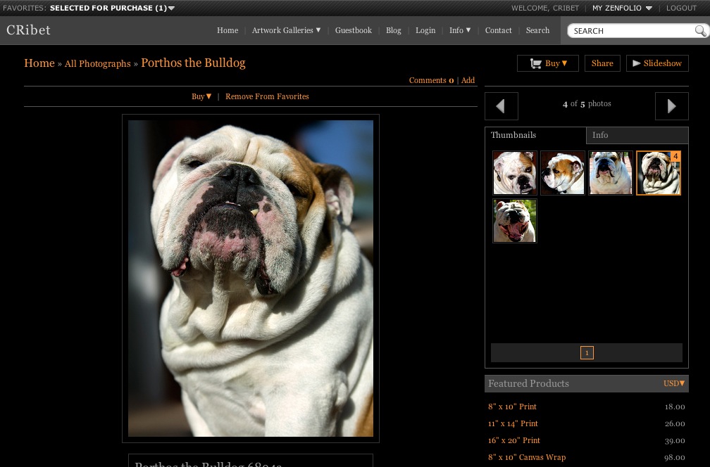Porthos the Bulldog Detail Page