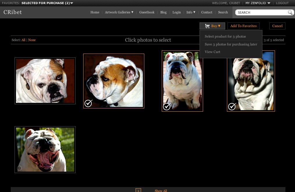 Porthos the Bulldog Gallery Checked