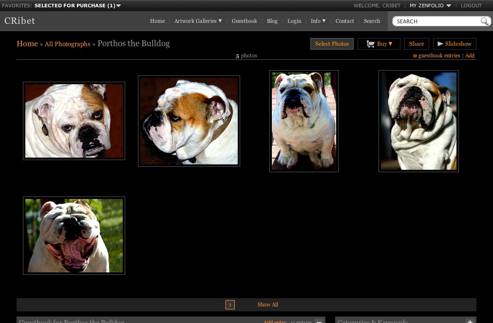 Porthos the Bulldog Gallery