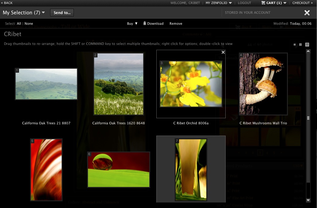 Zenfolio Favorites Set Editing